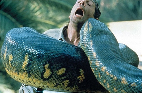 Tìm hiểu về rắn Titanoboa loài vật bá chủ sau khi khủng long tuyệt chủng Minh Tiệp #34 Tìm hiểu về rắn Titanoboa loài vật bá chủ sau khi khủng long tuyệt chủng Minh Tiệp